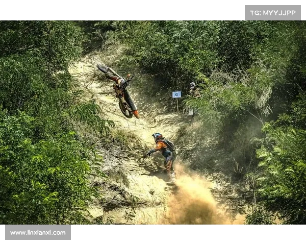 2021越野跑赛事大全 2021越野跑赛事大全