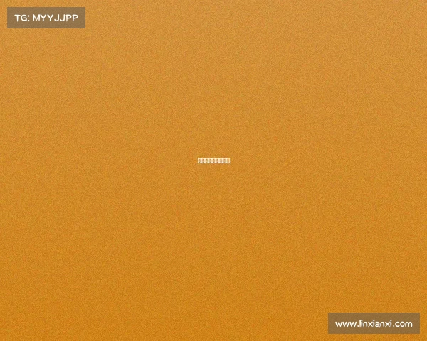 巴萨在哪个联赛踢球